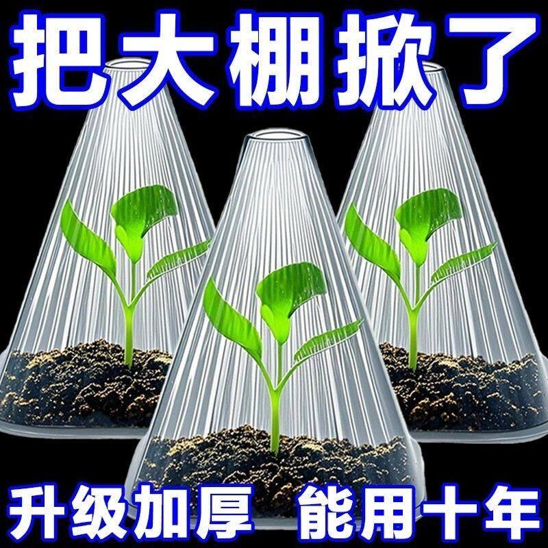 育苗保护罩加厚幼苗植物钟罩大棚菜苗霜冻大号保护防虫罩育苗神器