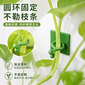 绿萝爬墙固定器绿植爬墙神器夹子墙上无痕挂钩粘爬藤杆子绿植攀爬