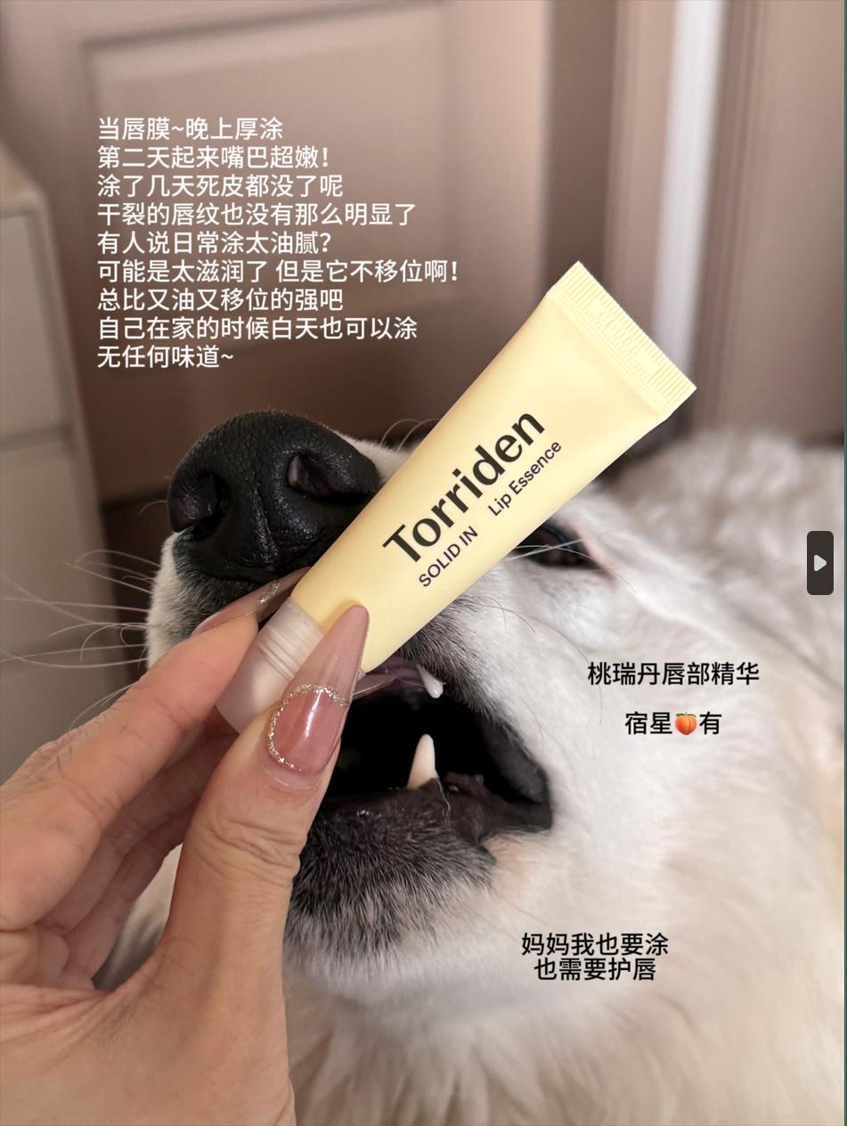 torriden桃瑞丹保湿修复润唇膏