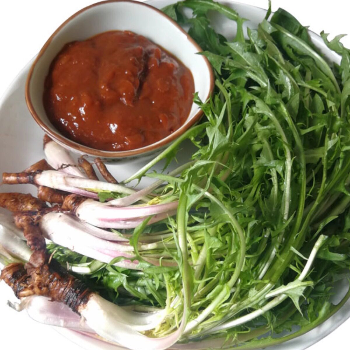 山野菜婆婆丁东北野生蒲公英现挖现发即食蘸酱菜产地直发坏了包赔