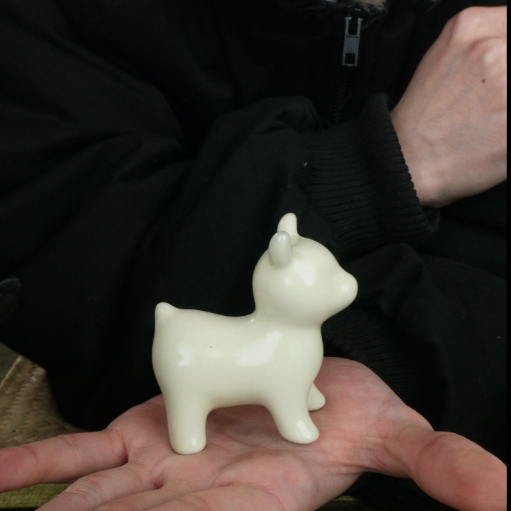 羊驼C,餐饮具,茶道/零配,淘宝优惠券,粉丝福利购,淘宝优惠卷