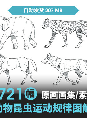动物昆虫运动规律图解素材合集 CG 动画 原画动作表演参考素材