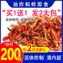 新鲜蝗虫蚂蚱油炸即食食用昆虫烧烤香酥椒盐干炸蚱蜢零食虫子美食