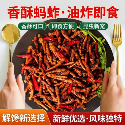 [去内脏]香酥蚂蚱油炸即食蝗虫食用昆虫美食烧烤香辣蚱蜢零食小吃