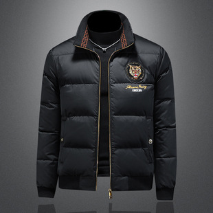 官方ira七彩马2025男装正品牌保暖羽绒服潮流时尚立领休闲外套