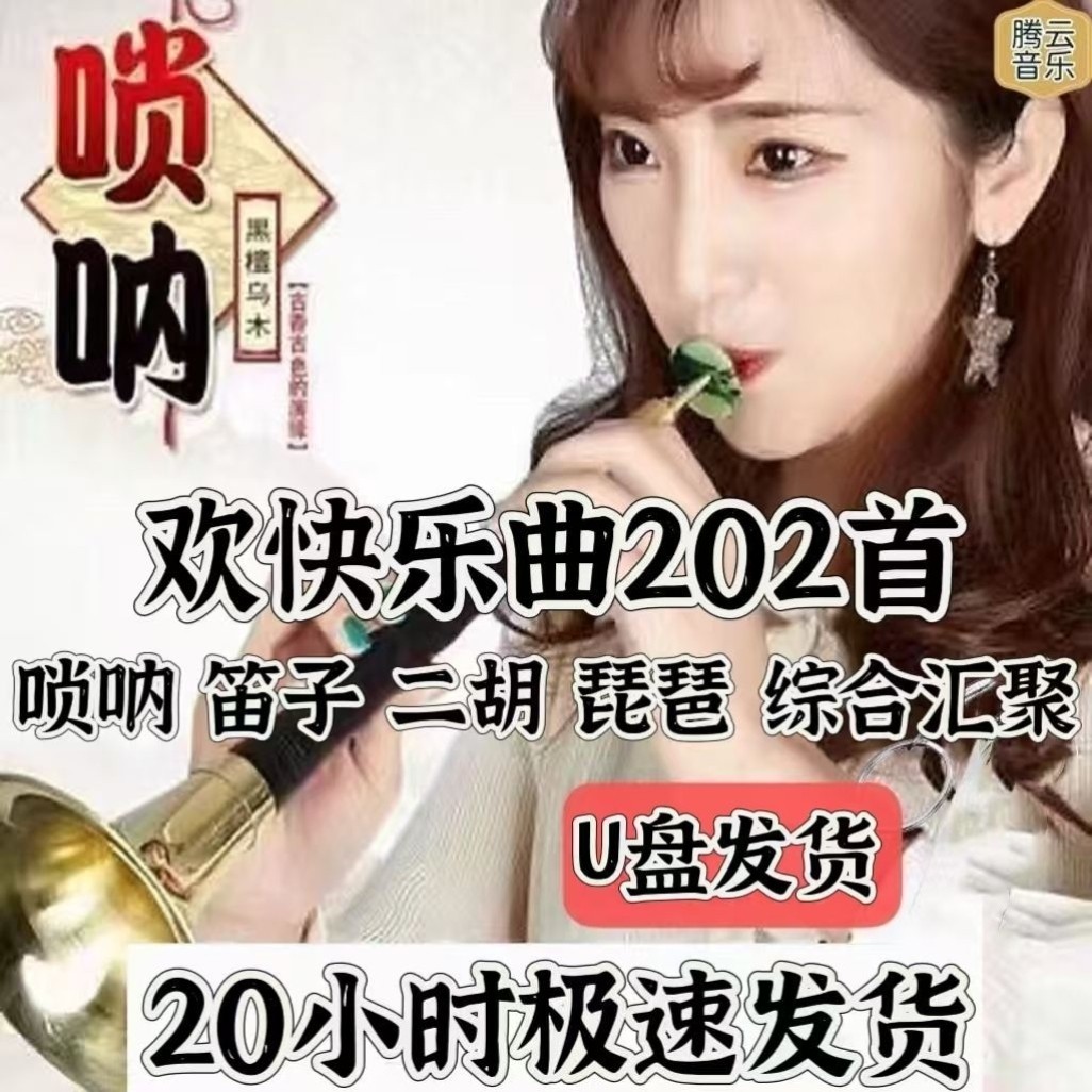喜庆唢呐笛子二胡琵琶U盘吹奏曲欢快MP3民族乐曲音频唢呐独奏曲