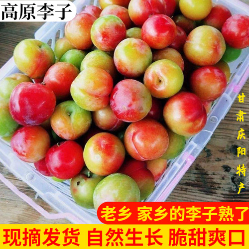 甘肃庆阳现摘李子新鲜老品种脆甜脱骨李子红桃洋杏空心李水果5斤