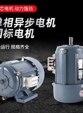 YS-W JW6316 6326 6336 7116 7126 7136 7146 铜线 电机  现货