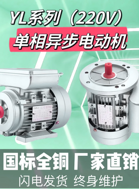 单相220V铝壳电机YC ML YL7112 7122 8012 8022 90S-2 90L-2 100L