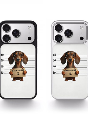 达克斯猎犬iPhone17ProMax壳