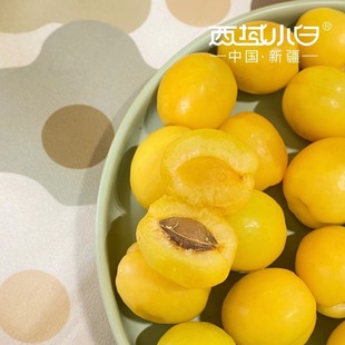 疆饱饱｜新疆轮台小白杏阳光系列净重3斤爆甜多汁顺丰空运应季