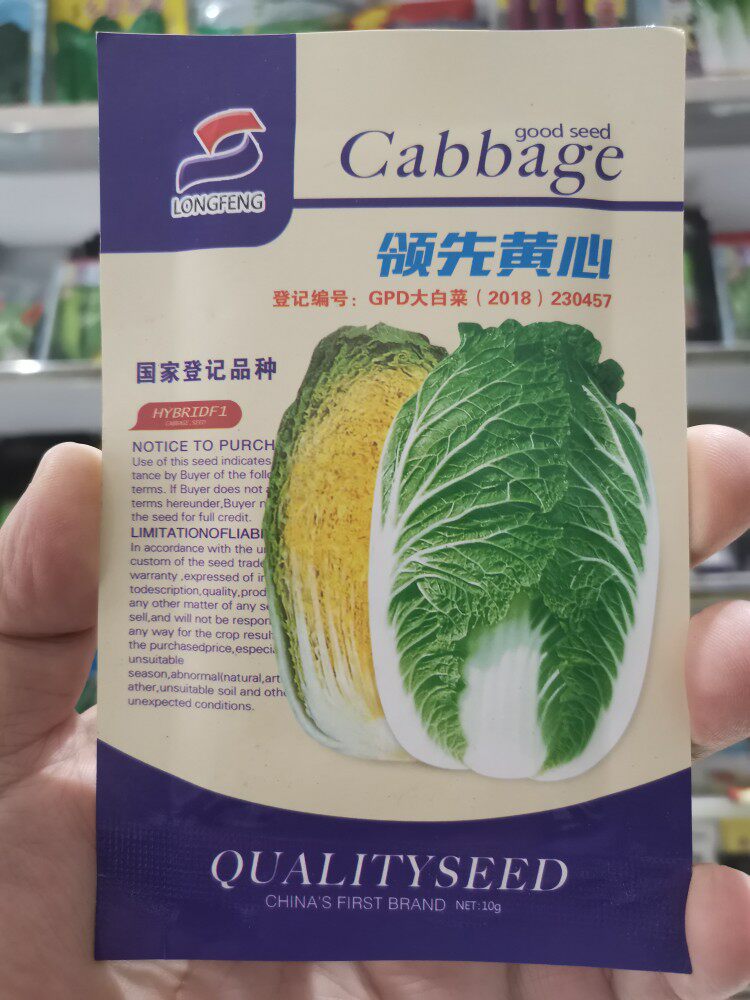 佳木斯龙丰种子大白菜种子春季播家庭园艺种子
