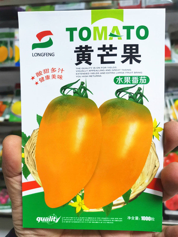 东北蔬菜种子籽西红柿种子黄芒果柿子种子口感柿子种子水果番茄