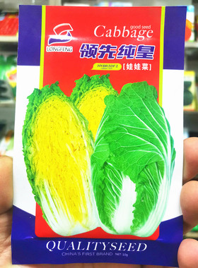 东北白菜种子领先纯皇娃菜种子微型大白菜种子黄心小白菜娃菜