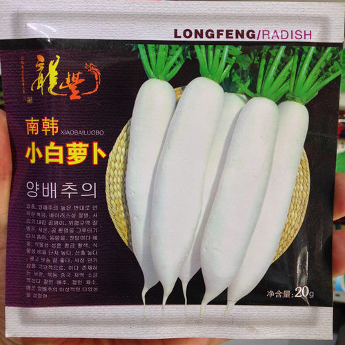 东北高丽小白萝卜种子籽  脆萝卜 甜脆 可当水果吃包邮