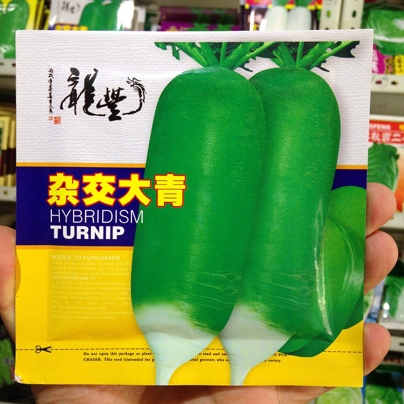 佳木斯龙丰大青萝卜绿心甜脆25克