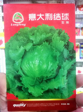 佳木斯龙丰种子 生菜籽  结球生菜 蘸酱菜5克 包邮