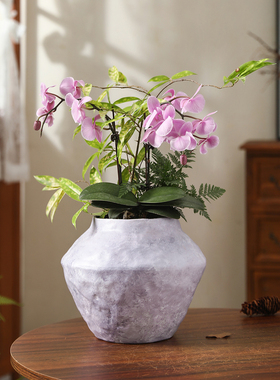 北欧极简风陶瓷花盆轻奢创意高级感室内桌面蝴蝶兰文心兰专用盆栽