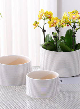 蝴蝶兰专用大口径陶瓷花盆家用欧式大号兰花多肉盆栽轻奢高级感