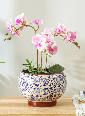 中国风高档花盆陶瓷家用青花瓷冬青兰花专用蝴蝶兰轻奢高级感大号