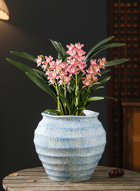 中式复古陶瓷花盆现代家用客厅落地蕙兰北美冬青红果专用花器摆件