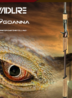 24款疯狂路亚GOA野钓泛用路亚竿双杆稍远投翘嘴鳜鱼鱤鱼海鲈