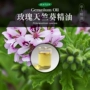 Satya Pháp Rose Geranium Essential Oil 10ml Tinh dầu đơn phương Làm sáng và làm ướt Cân bằng nước Dầu massage chống nhiễm trùng - Tinh dầu điều trị tinh dầu bơ