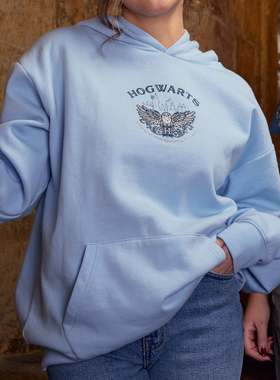 纯原复古电影哈粉入浅蓝色刺绣猫头鹰抓绒连帽套头卫衣