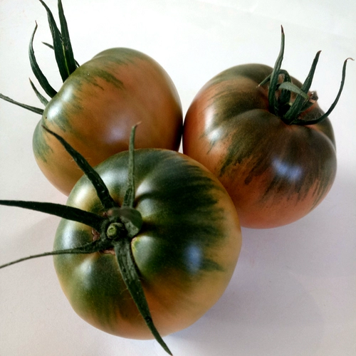 Аутентичный железо -кожа -кив