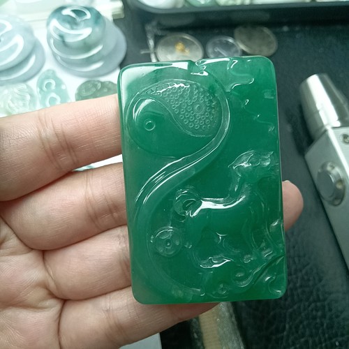 非洲翠生肖狗