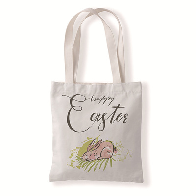 TaylorSwift时尚印花帆布包