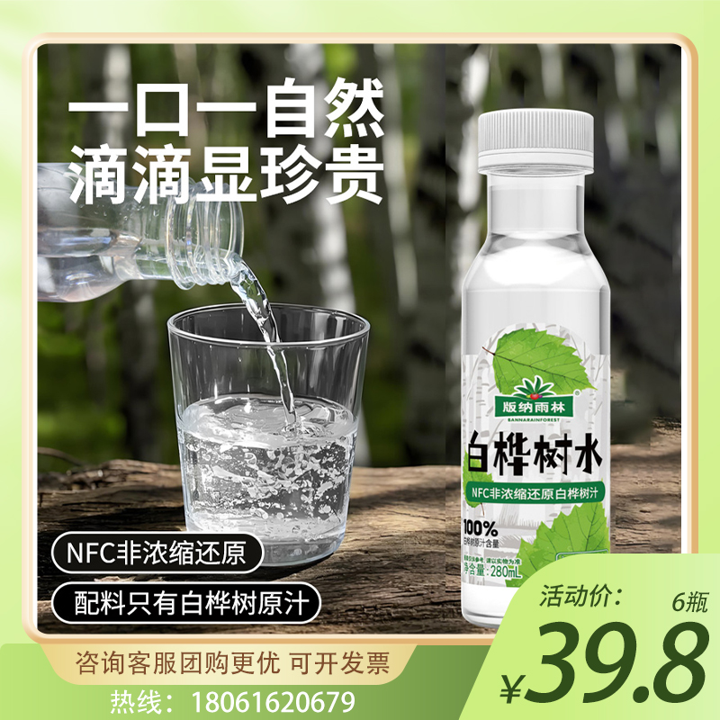 版纳雨林新品NFC白桦树水 小兴安岭100%白桦树原汁含量植物饮料