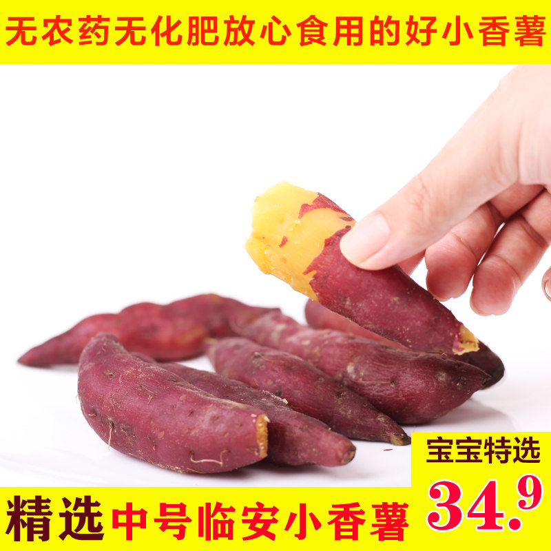 【精选】新鲜红薯临安天目山小香薯板栗小番薯地瓜蜜薯5斤装中号