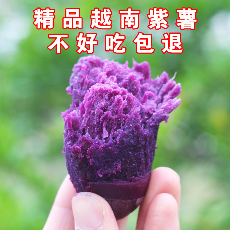 野茗鲜新鲜现挖紫薯红薯越南进口10农家迷你小番薯地瓜包邮5斤装