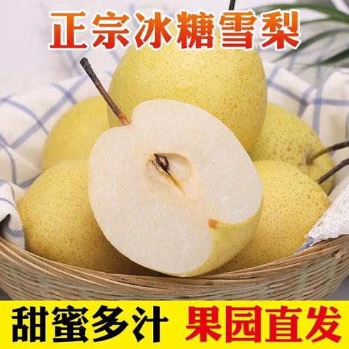 雪梨水果新鲜当季应季梨子包邮砀山梨酥梨