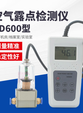 祈鑫空气露点检测仪HD600
