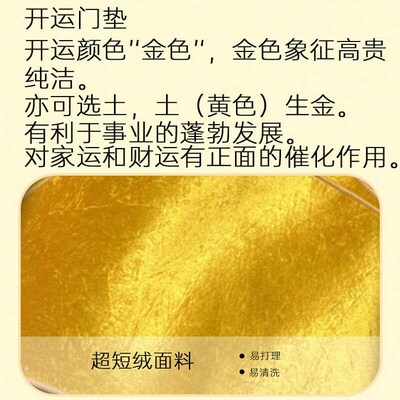 金黄色入户门垫进门q地垫土黄色客厅玄关脚垫卧室床边地毯