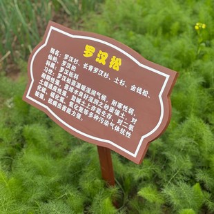 定制牌简介牌植物介绍x牌插地牌花卉品种牌树木科普牌