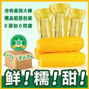 楚雀黄糯玉米新鲜糯玉米真空包装 320克官方旗舰店 非基因改造280