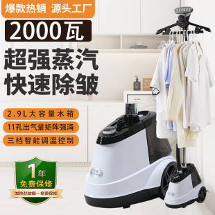 店大功率挂烫机商用家用立式 服装 蒸汽熨烫斗好用不喷水烫衣熨烫机