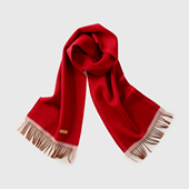 26新 手缝皮标 禾同款 高级赏味 100羊绒 撞色边缘 流苏 围巾