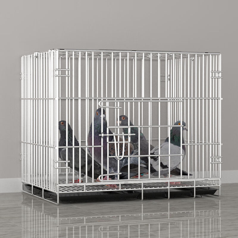 hkml*鸽子笼大空间繁殖笼鸟笼鸽子笼子不锈钢色大号加密配对家用