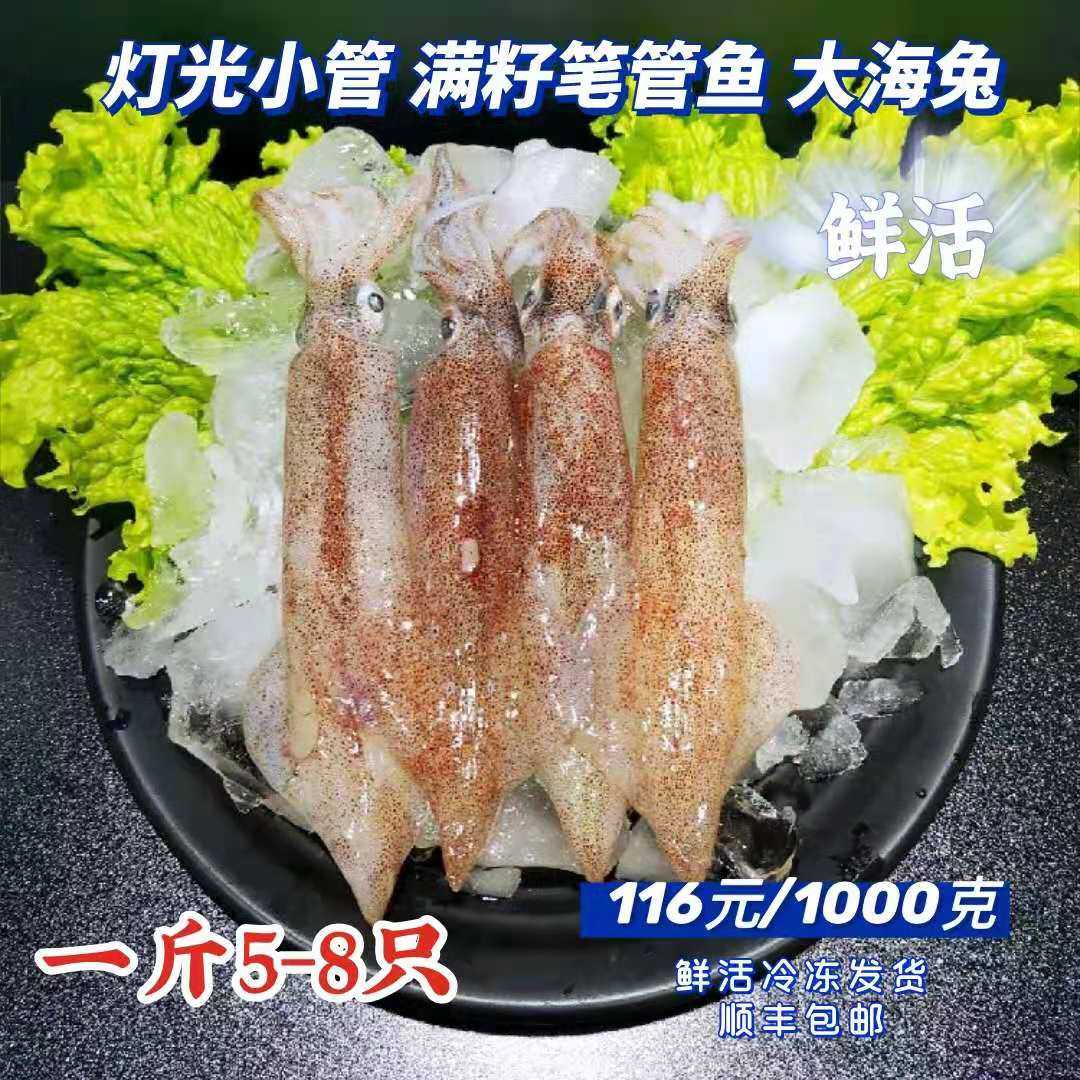 海产鲜活大海兔海捕满籽大笔管鱼灯光小管小鱿鱼1000克 顺丰包邮
