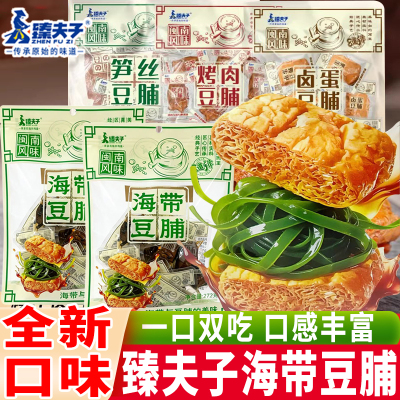臻夫子笋丝豆脯海带豆腐干新口味闽南风味烤肉夹心卤蛋即食零食品