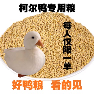 宠物柯尔鸭开口饲料小鸡黄鸭子吃颗粒雏幼苗成年专用食物营养配方