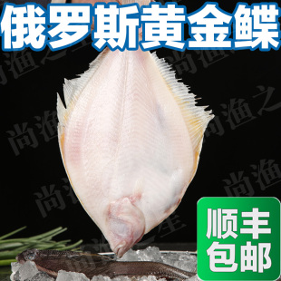 黄金鲽鱼偏口鱼鼓眼鱼冷冻鲽鱼豆鼓比目鱼牙片糙黄盖鲽俄罗斯美国
