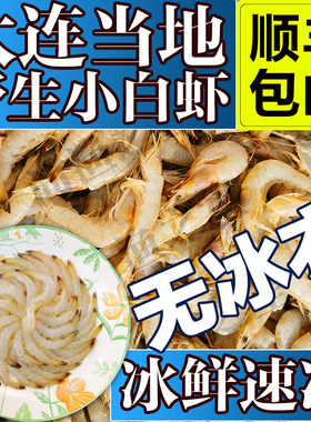 大连当地小白虾冰鲜速冻渤海湾
