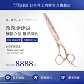 JOEWELL井上鸡牌日本原装 进口SPG25质感打薄牙剪专业美发剪刀