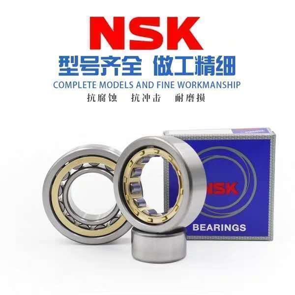 NSK轴承NU1004 1005 1006 1007 1008 1009 1010 1011/EM/EW/ET/C3
