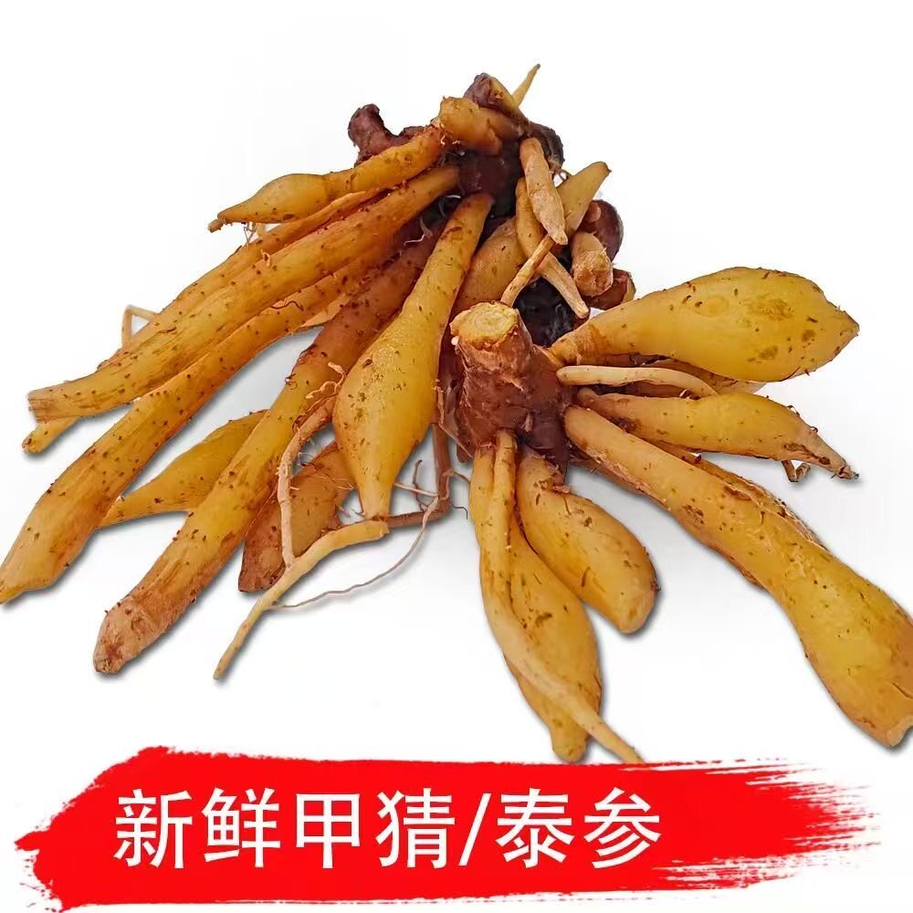 泰国甲猜加猜泰国菜人参高莎草可做酵素滴眼新鲜野生当季越南野菜